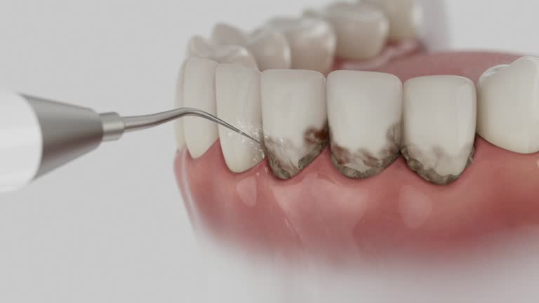 Reliable Dental contractor in Plains, TX by Dentist Open Now